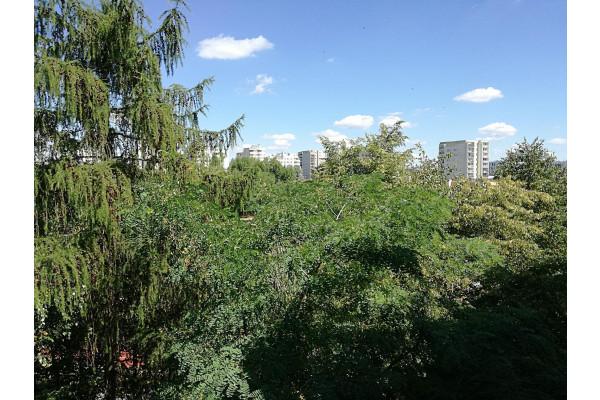 Warszawa, Ursyn&oacute;w, Henryka Raabego, 2 pokoje przy metrze Natolin,  ostatnie piętro, po generalnym remoncie